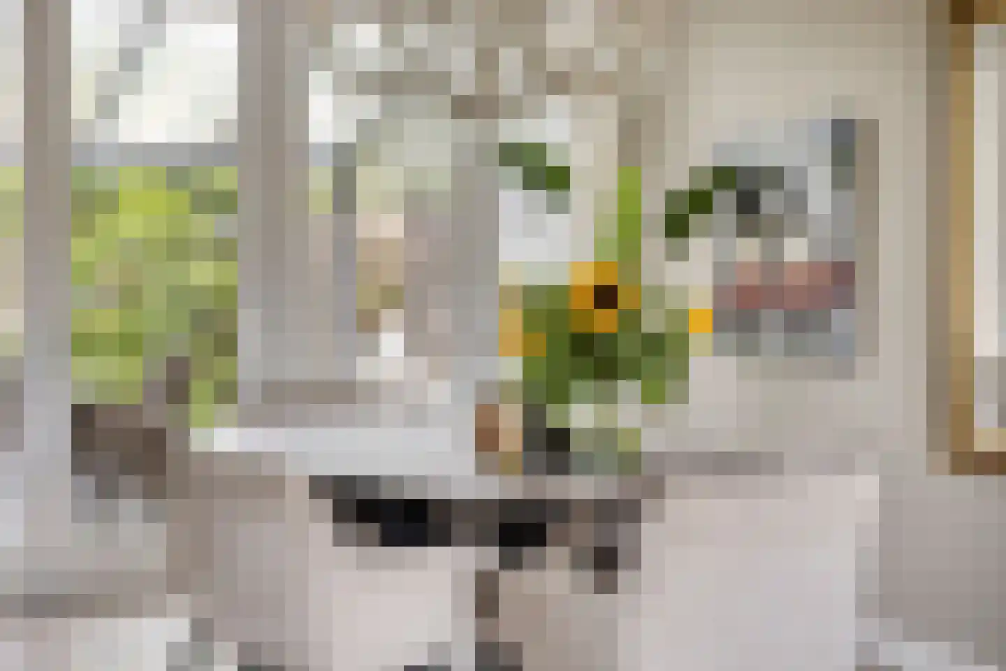 Kievitstraat 29 Helmond thumbnail 20