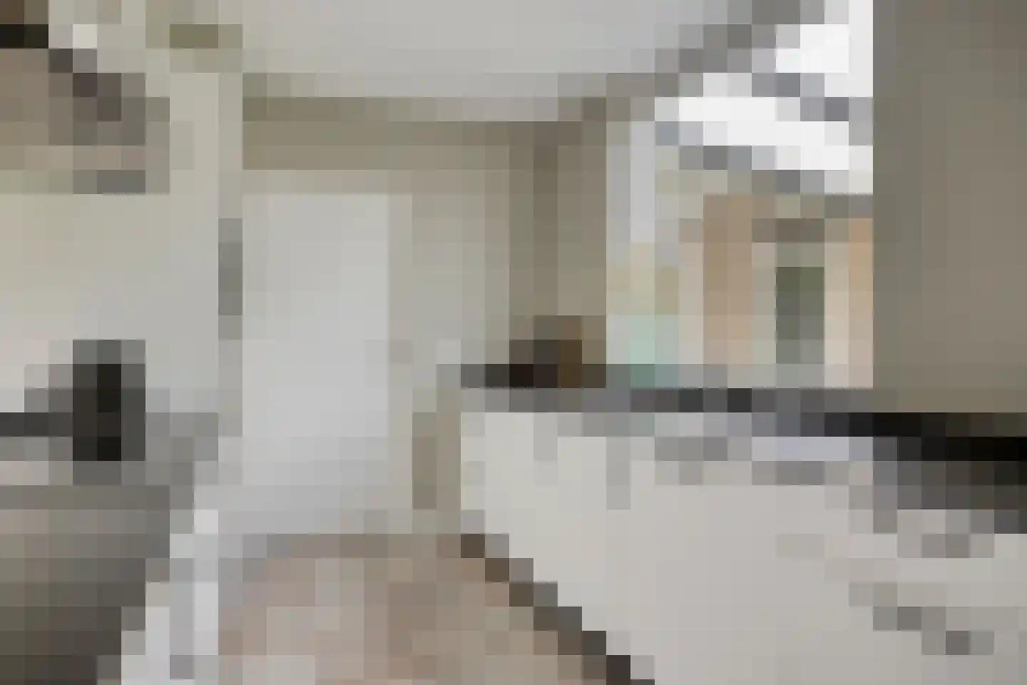 Kievitstraat 29 Helmond thumbnail 22