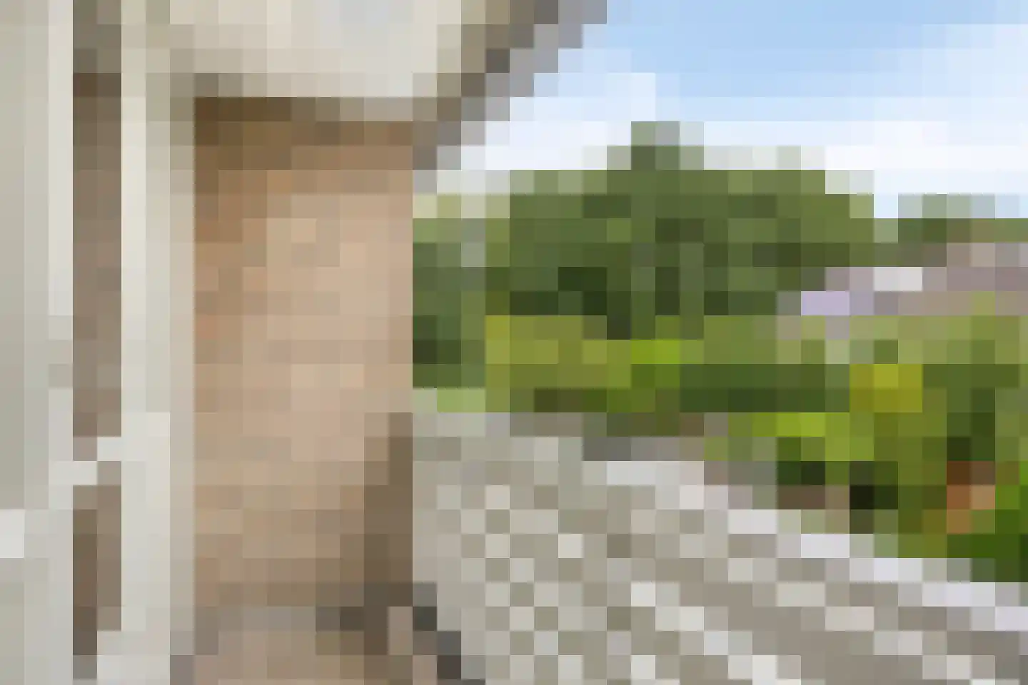 Kievitstraat 29 Helmond thumbnail 31