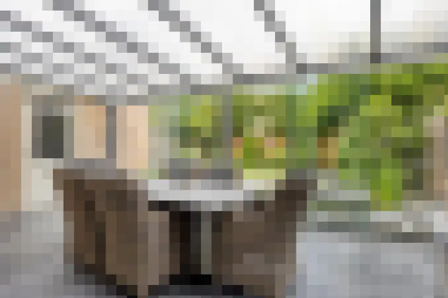 Kievitstraat 29 Helmond thumbnail 44