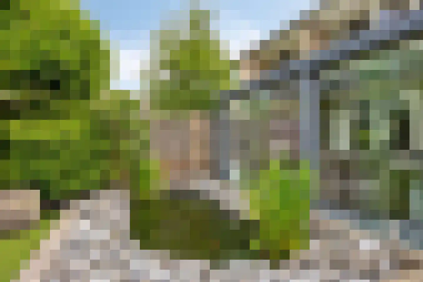 Kievitstraat 29 Helmond thumbnail 47