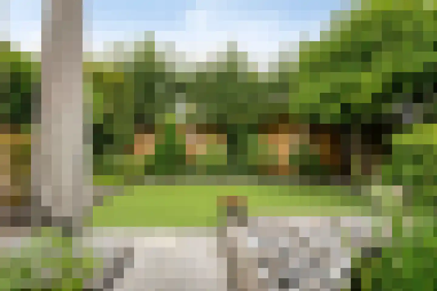 Kievitstraat 29 Helmond thumbnail 48