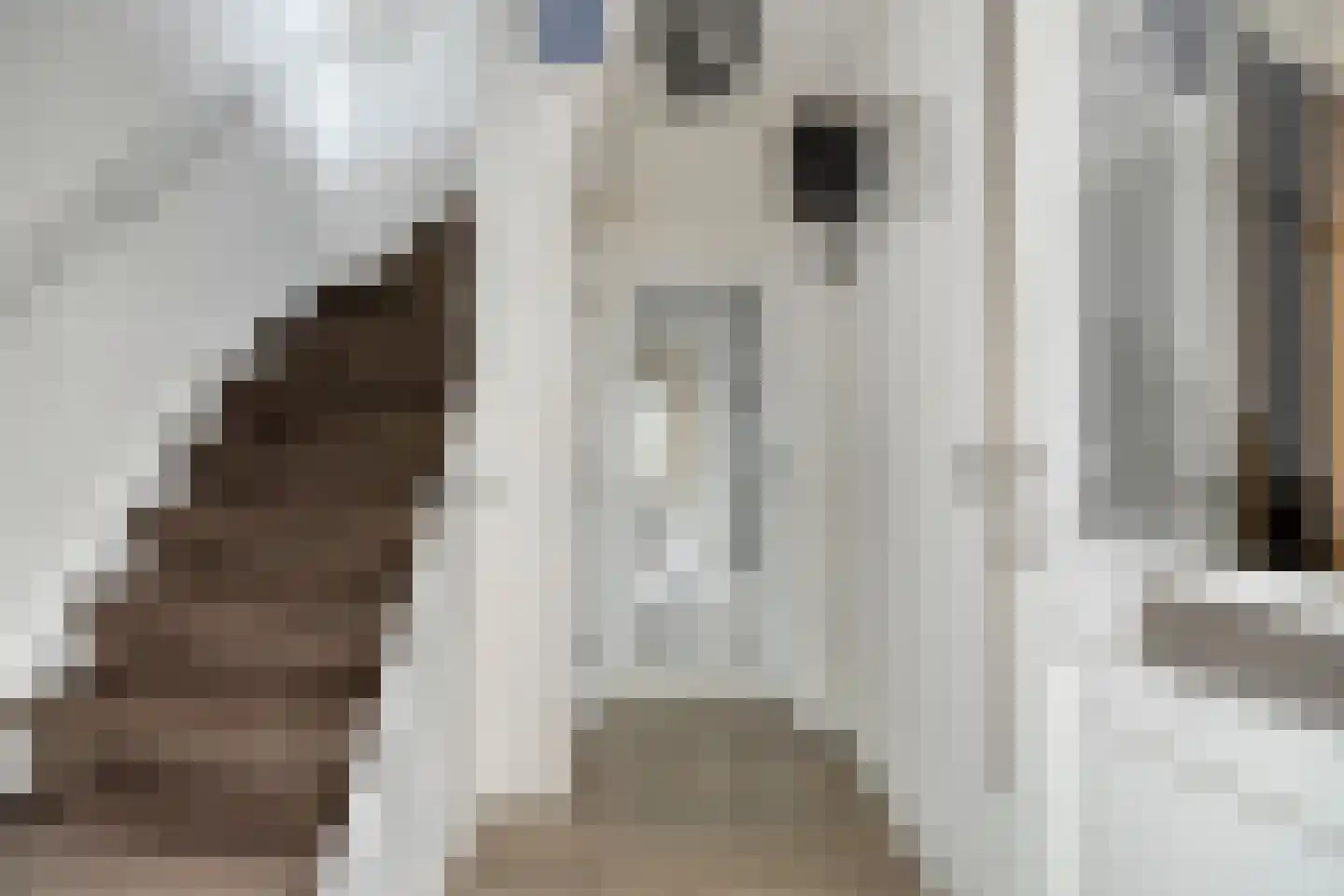 Kievitstraat 29 Helmond thumbnail 9