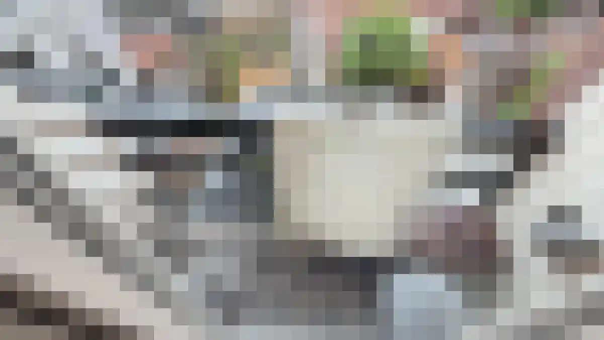 Kievitstraat 3 3 Utrecht thumbnail 4