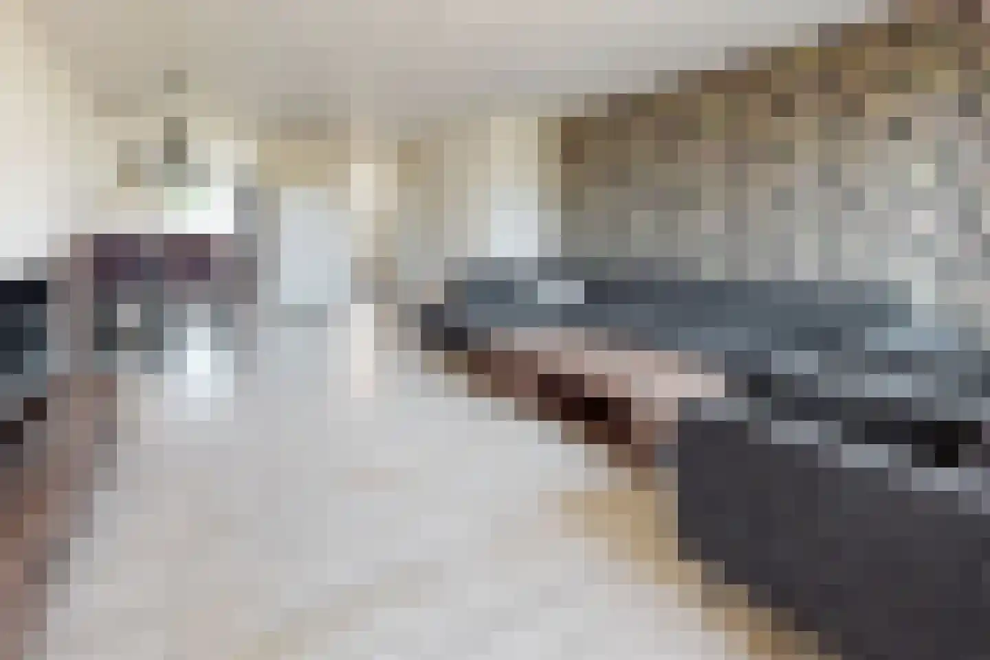 Kievitstraat 3 Fijnaart thumbnail 13