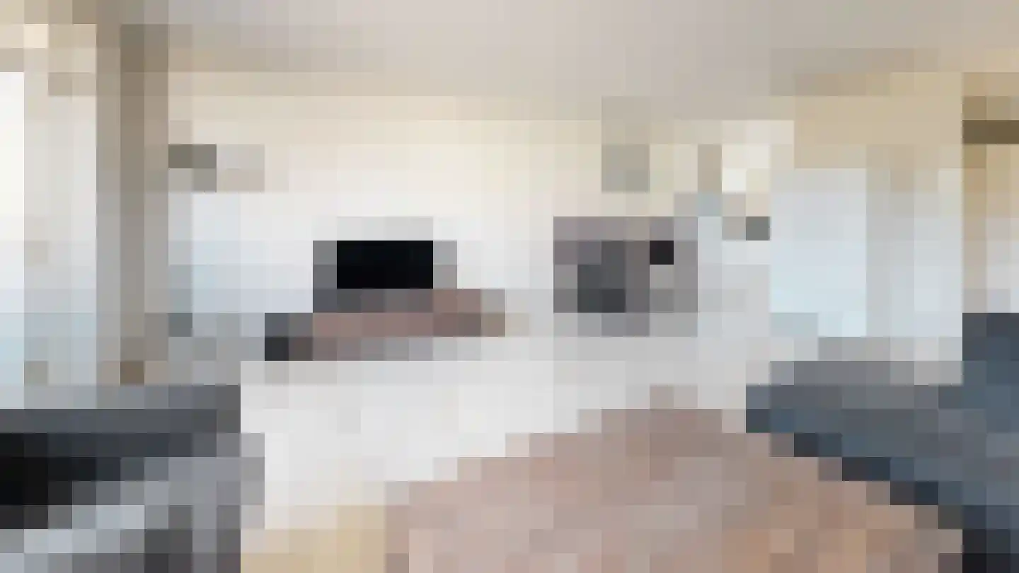 Kievitstraat 3 Fijnaart thumbnail 14