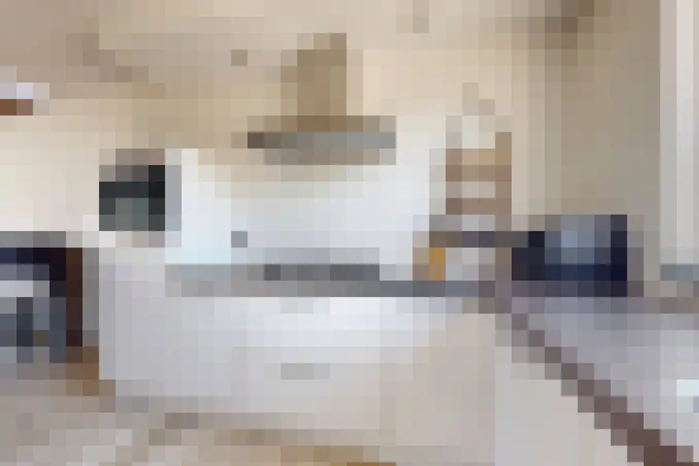 Kievitstraat 3 Fijnaart thumbnail 19