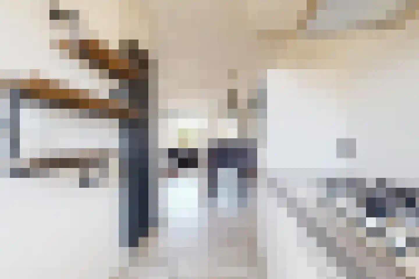 Kievitstraat 3 Fijnaart thumbnail 20