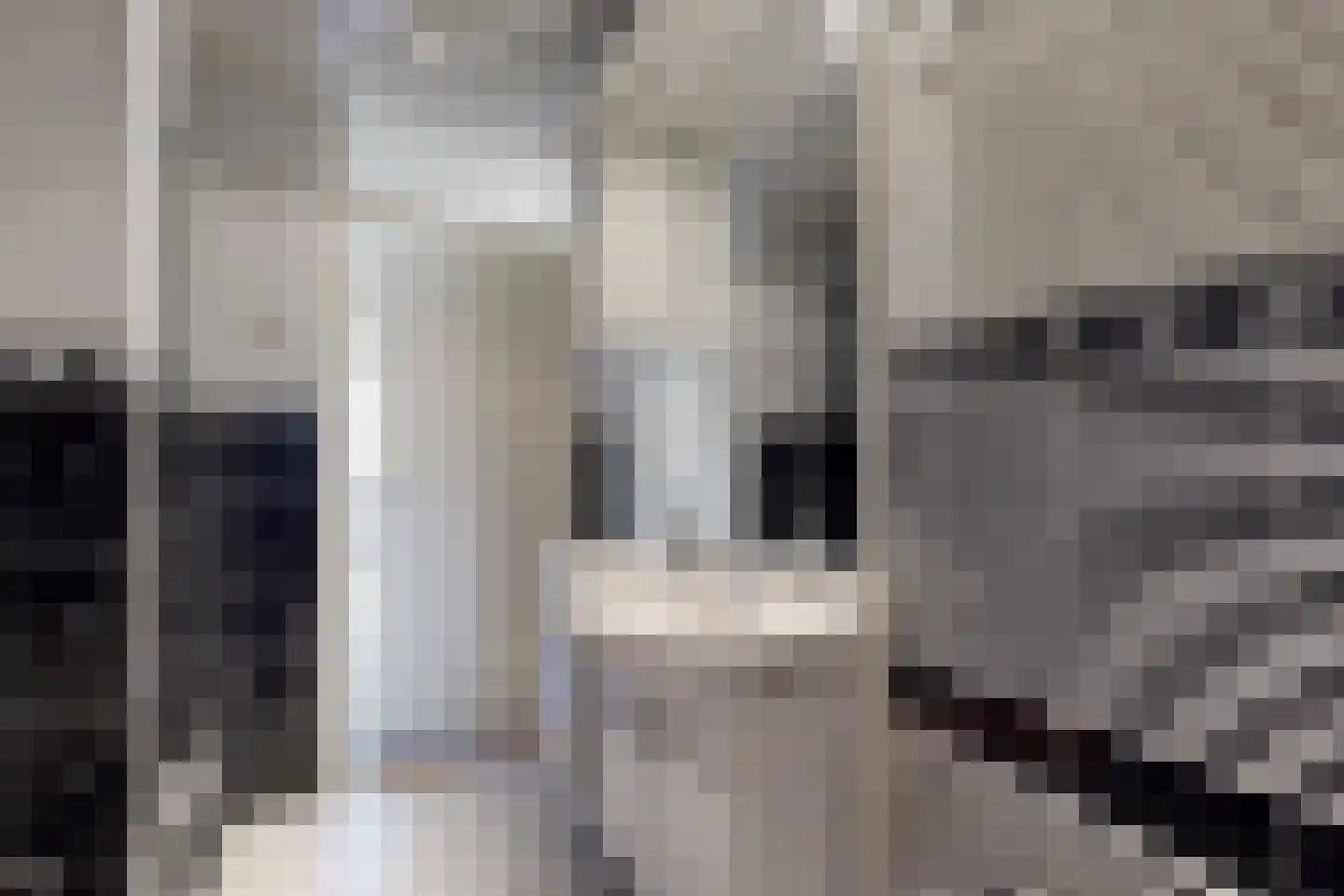 Kievitstraat 3 Fijnaart thumbnail 29
