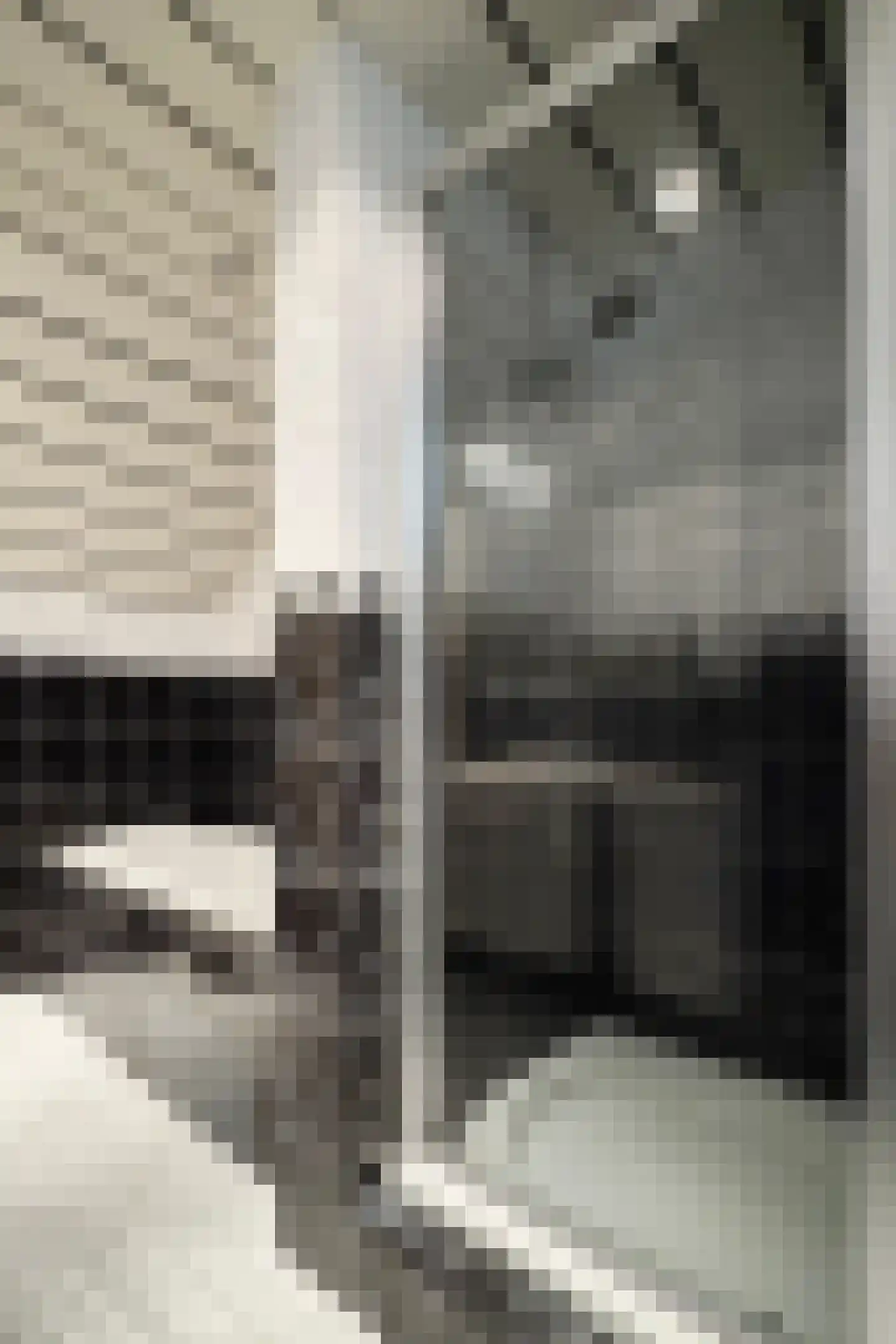 Kievitstraat 3 Fijnaart thumbnail 32