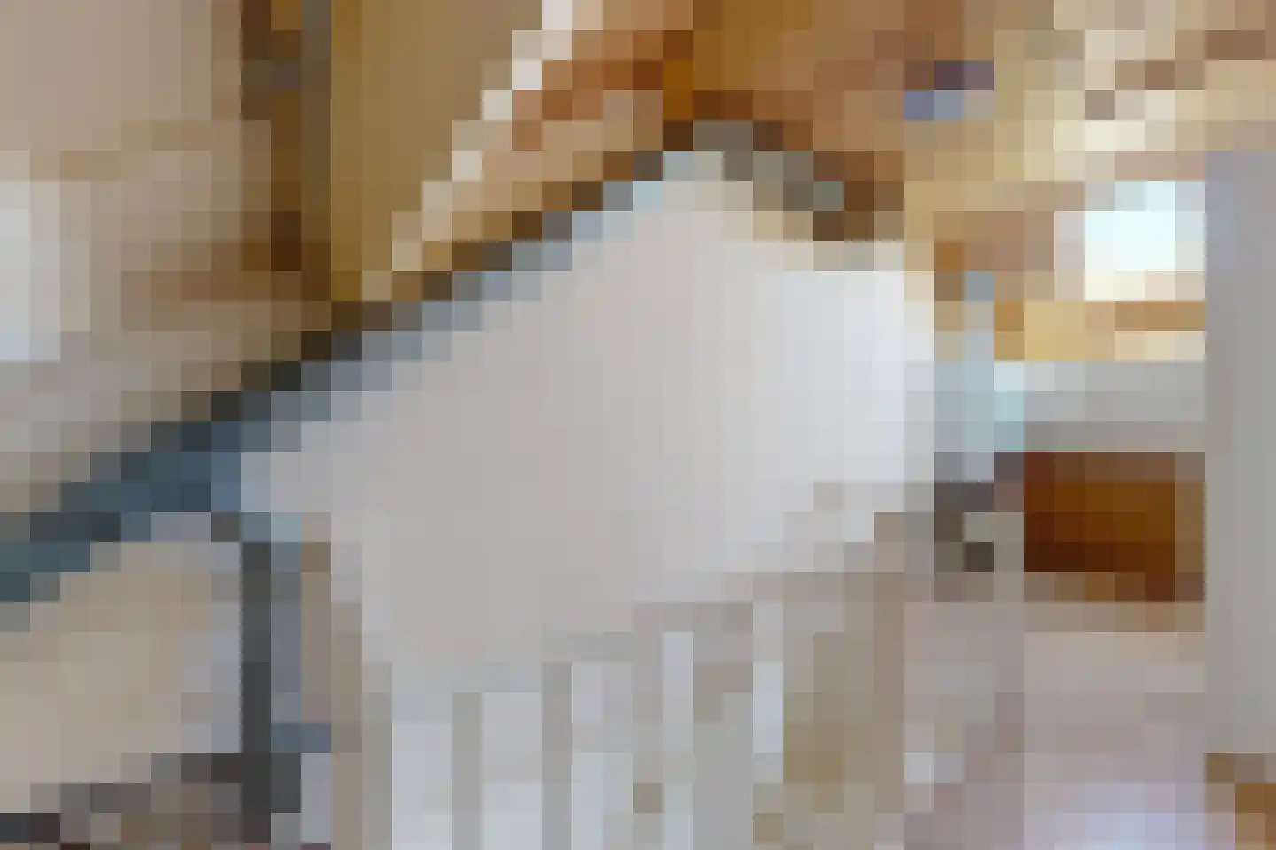 Kievitstraat 3 Fijnaart thumbnail 37