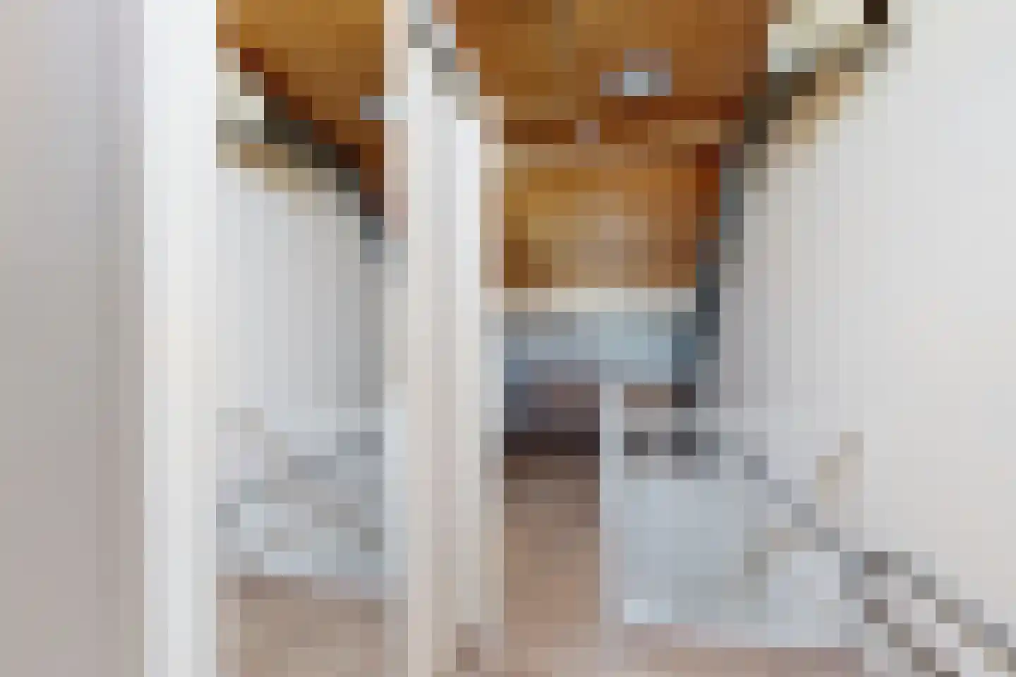 Kievitstraat 3 Fijnaart thumbnail 38