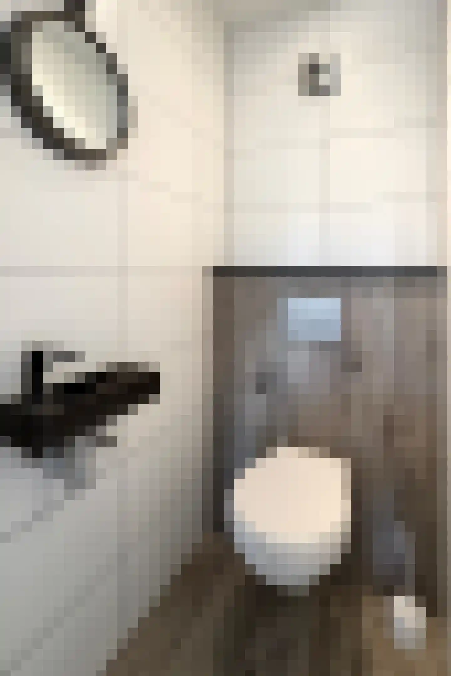 Kievitstraat 3 Fijnaart thumbnail 7