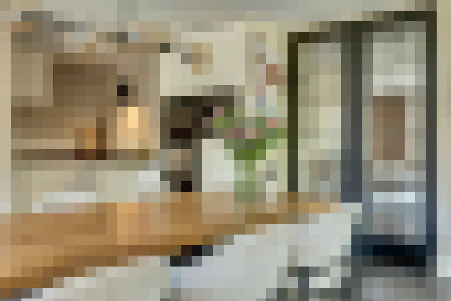 Kievitstraat 3 Haaksbergen thumbnail 13