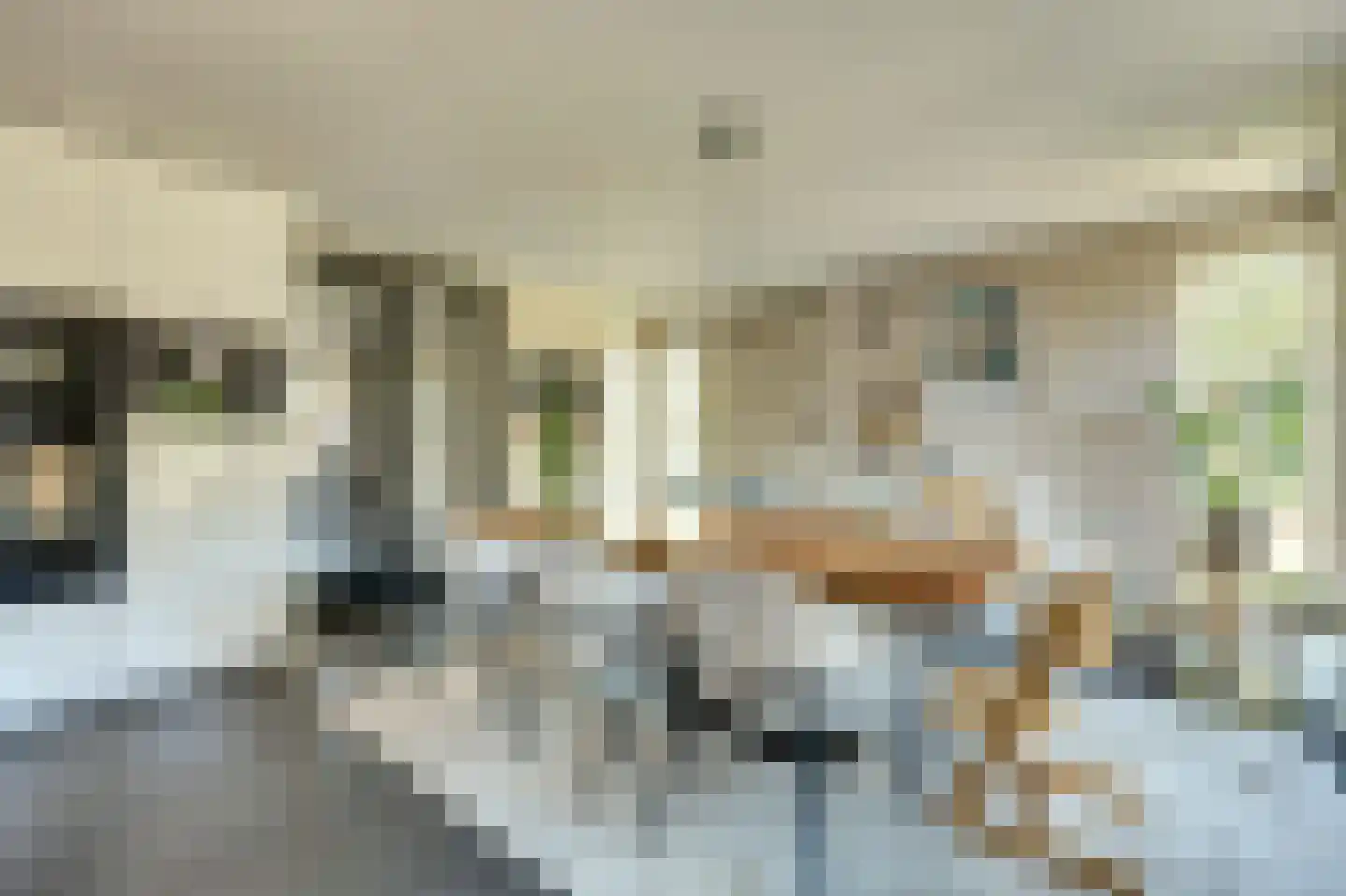 Kievitstraat 3 Haaksbergen thumbnail 14