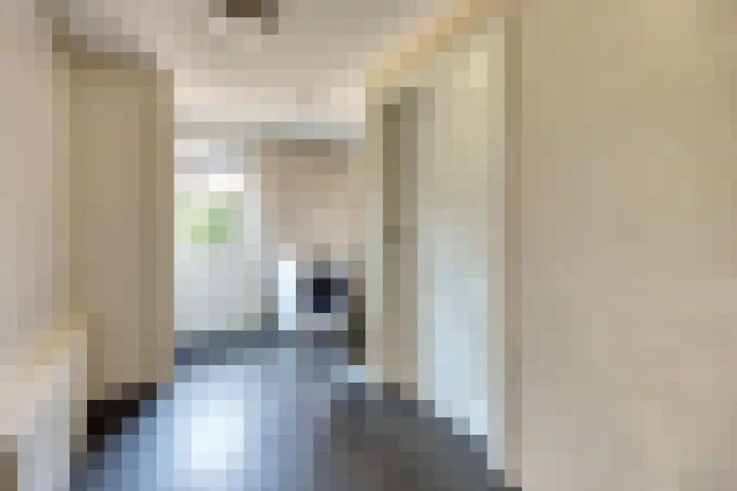 Kievitstraat 3 Haaksbergen thumbnail 19