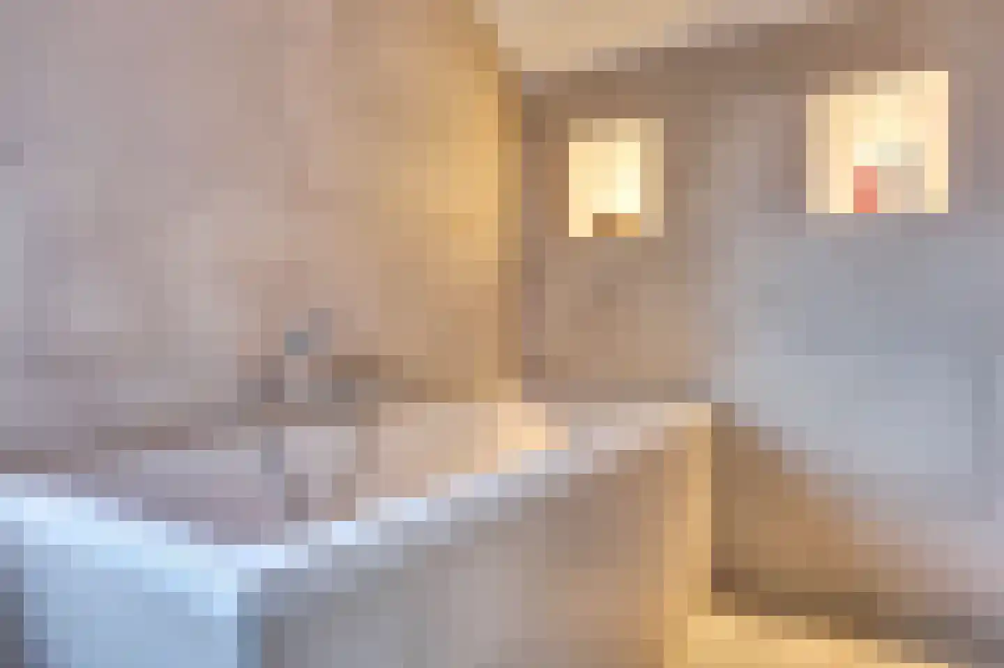 Kievitstraat 3 Haaksbergen thumbnail 27