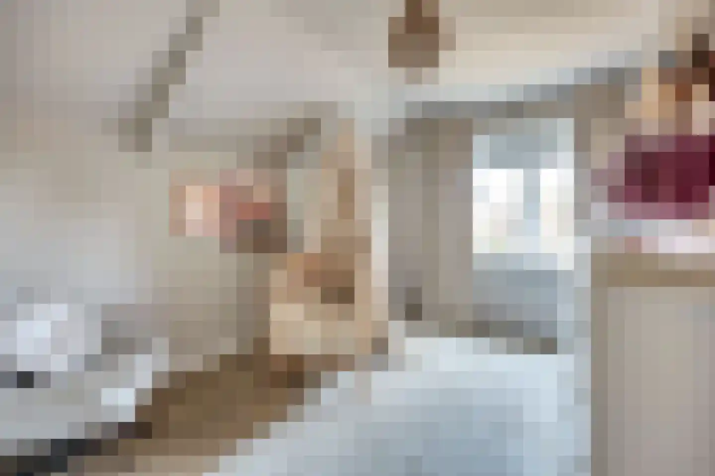 Kievitstraat 3 Haaksbergen thumbnail 29