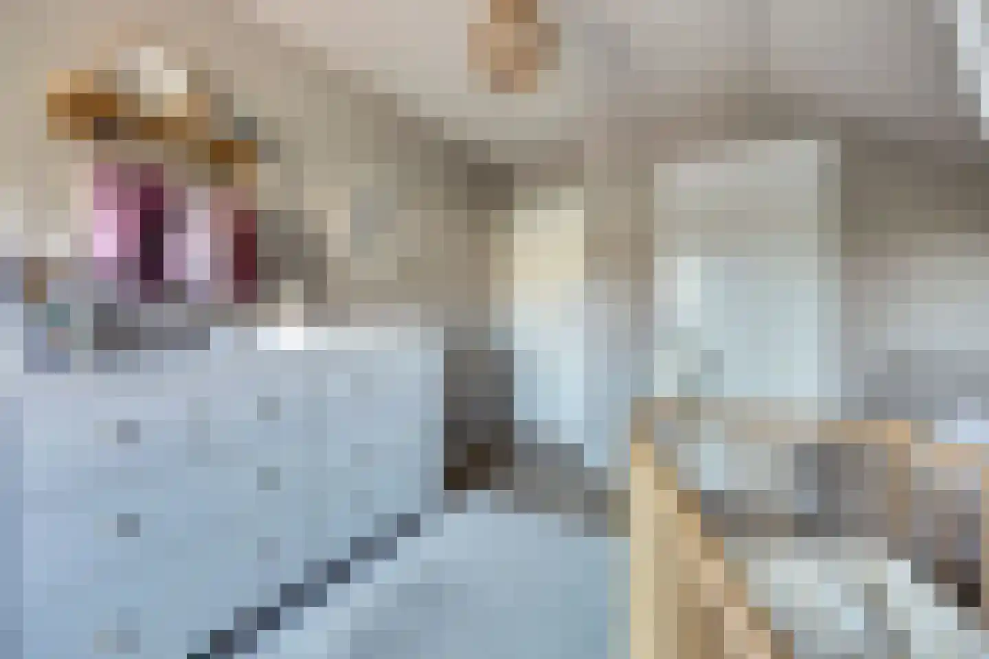 Kievitstraat 3 Haaksbergen thumbnail 30