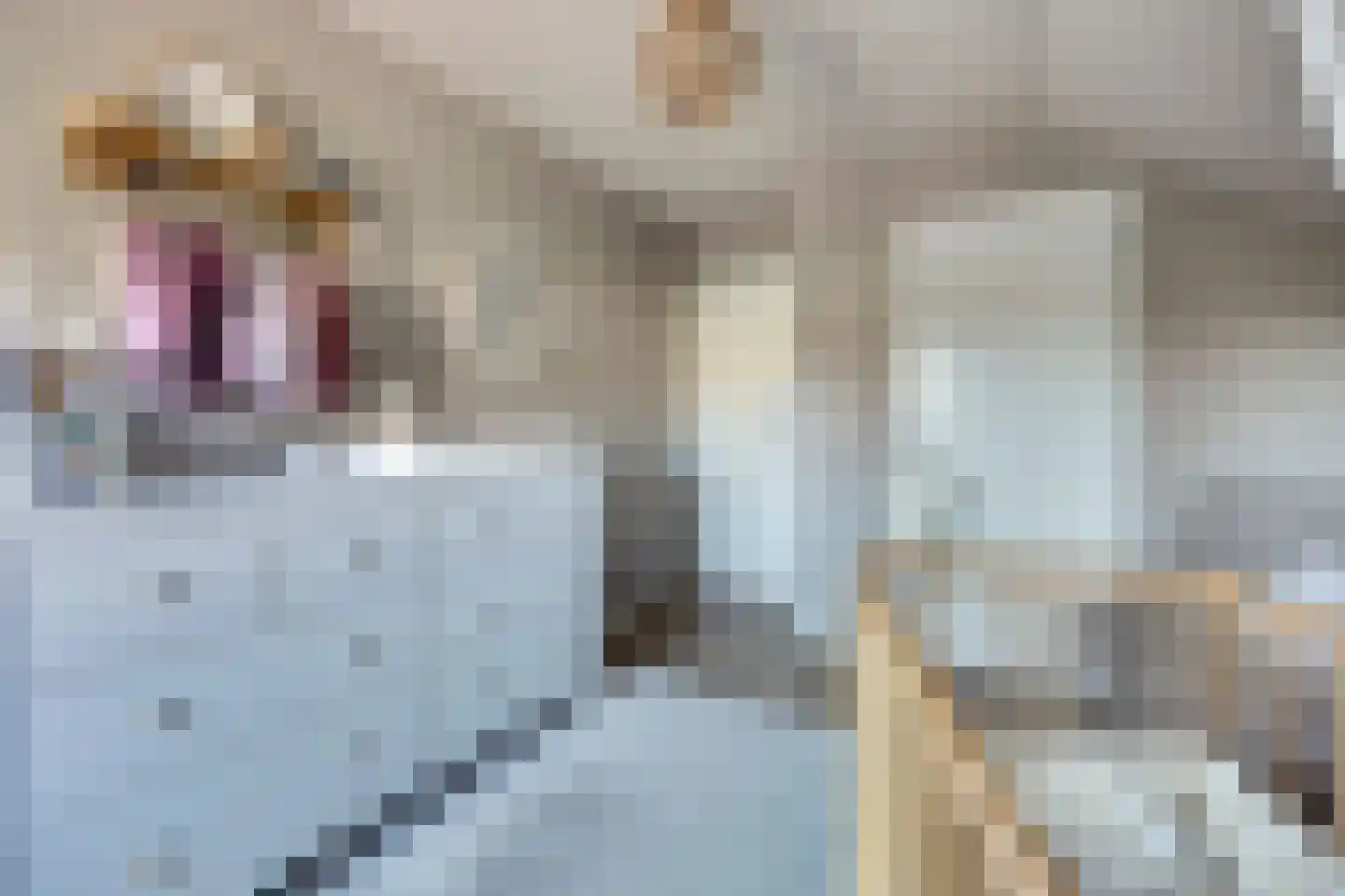 Kievitstraat 3 Haaksbergen thumbnail 30