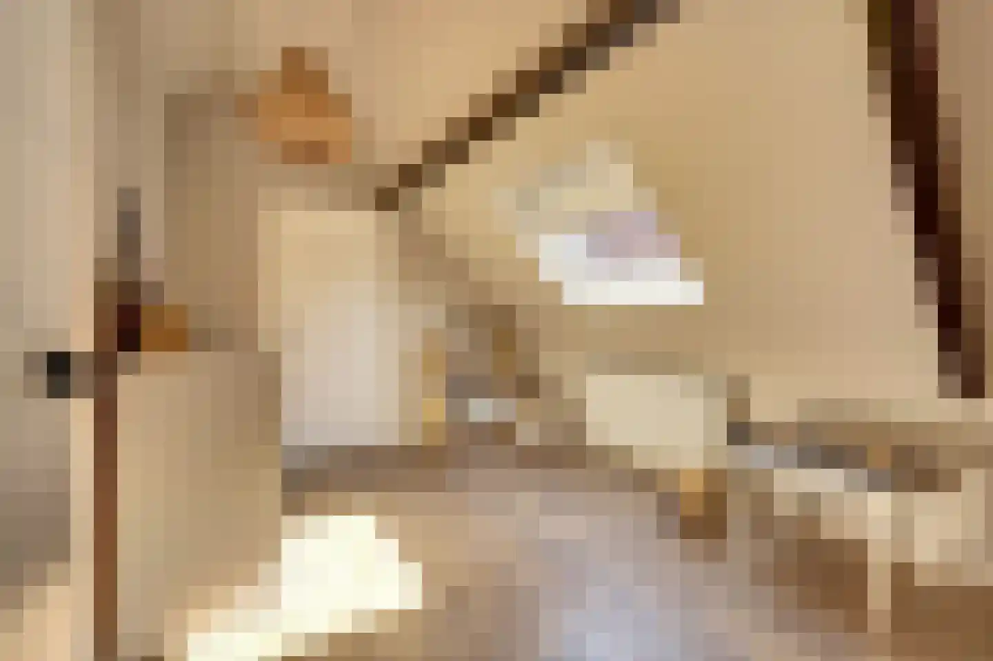 Kievitstraat 3 Haaksbergen thumbnail 31