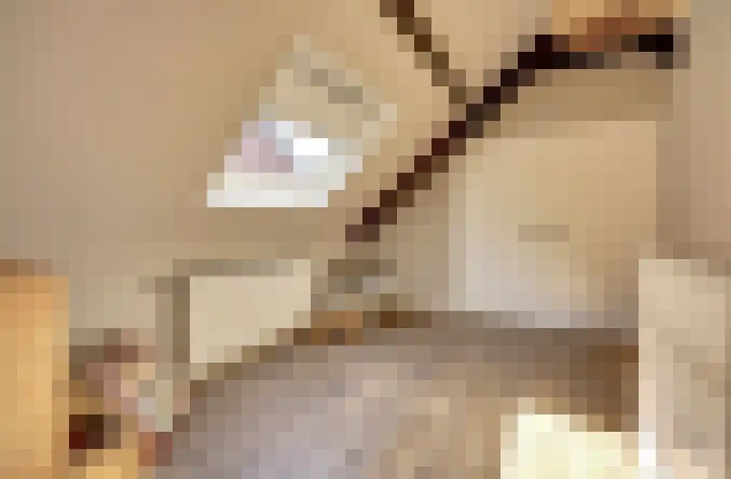 Kievitstraat 3 Haaksbergen thumbnail 32