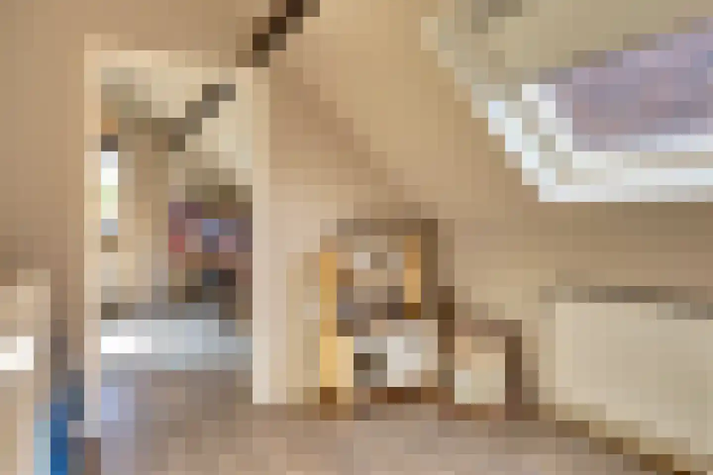 Kievitstraat 3 Haaksbergen thumbnail 33