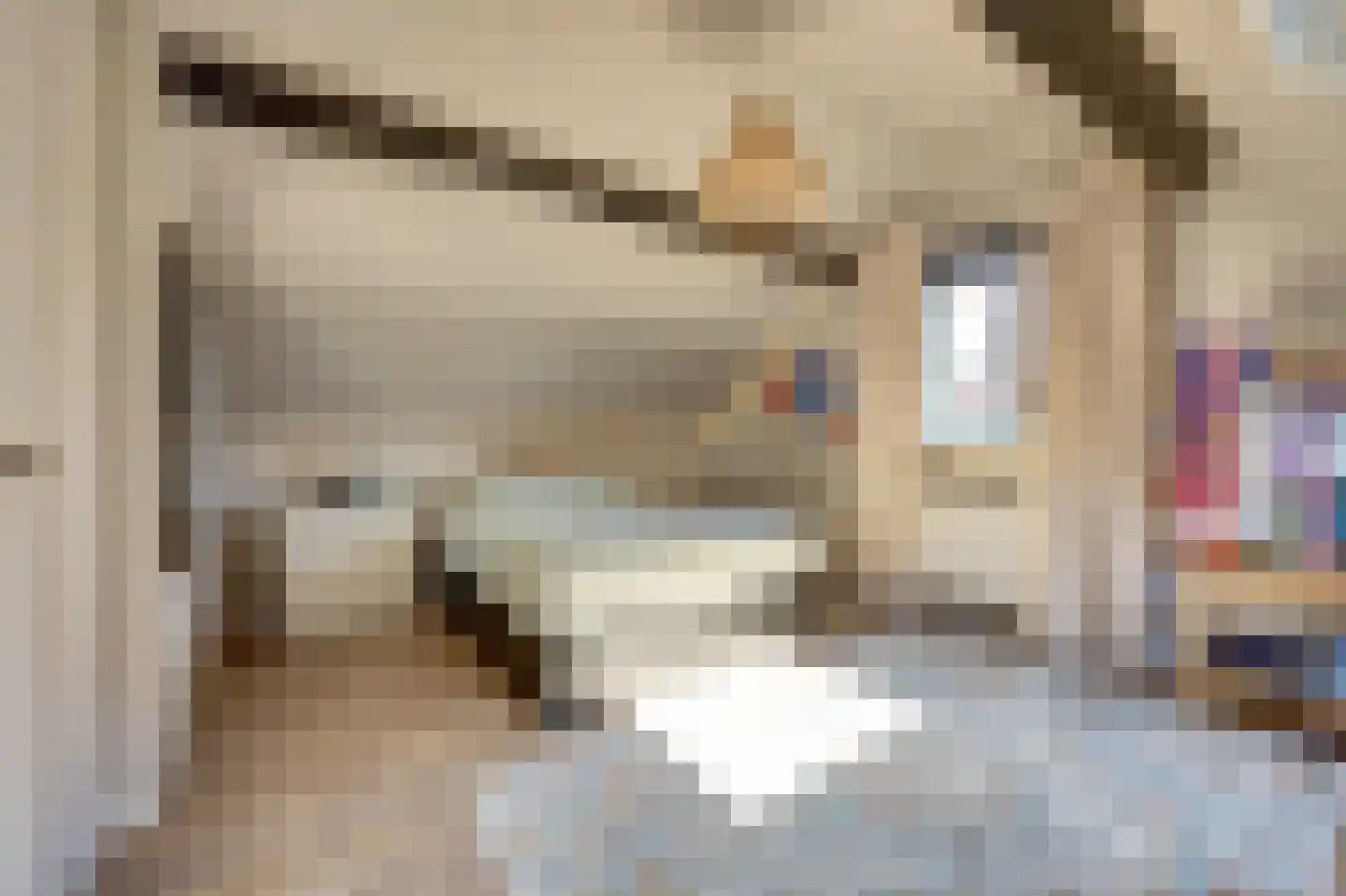 Kievitstraat 3 Haaksbergen thumbnail 35