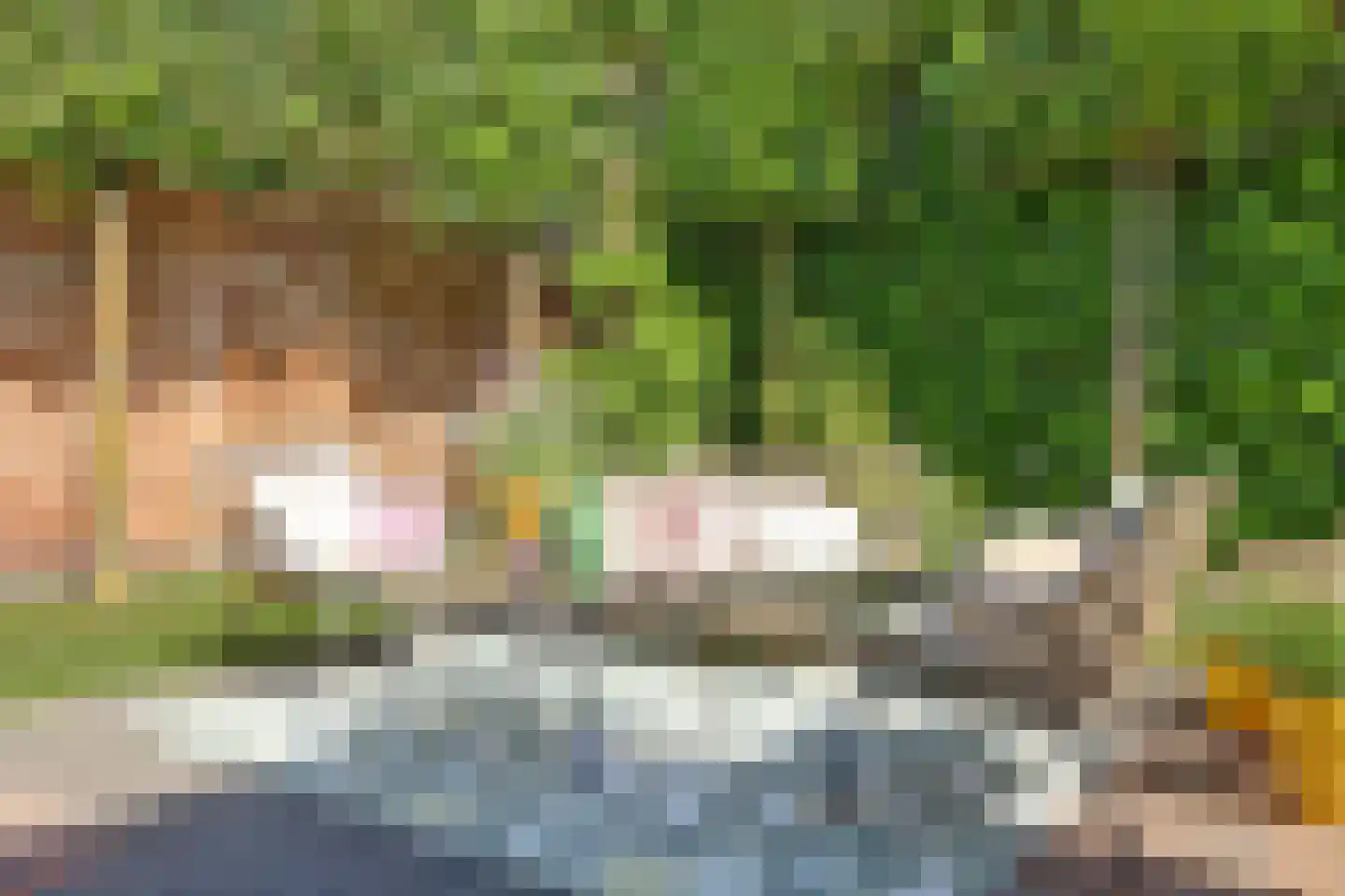 Kievitstraat 3 Haaksbergen thumbnail 41