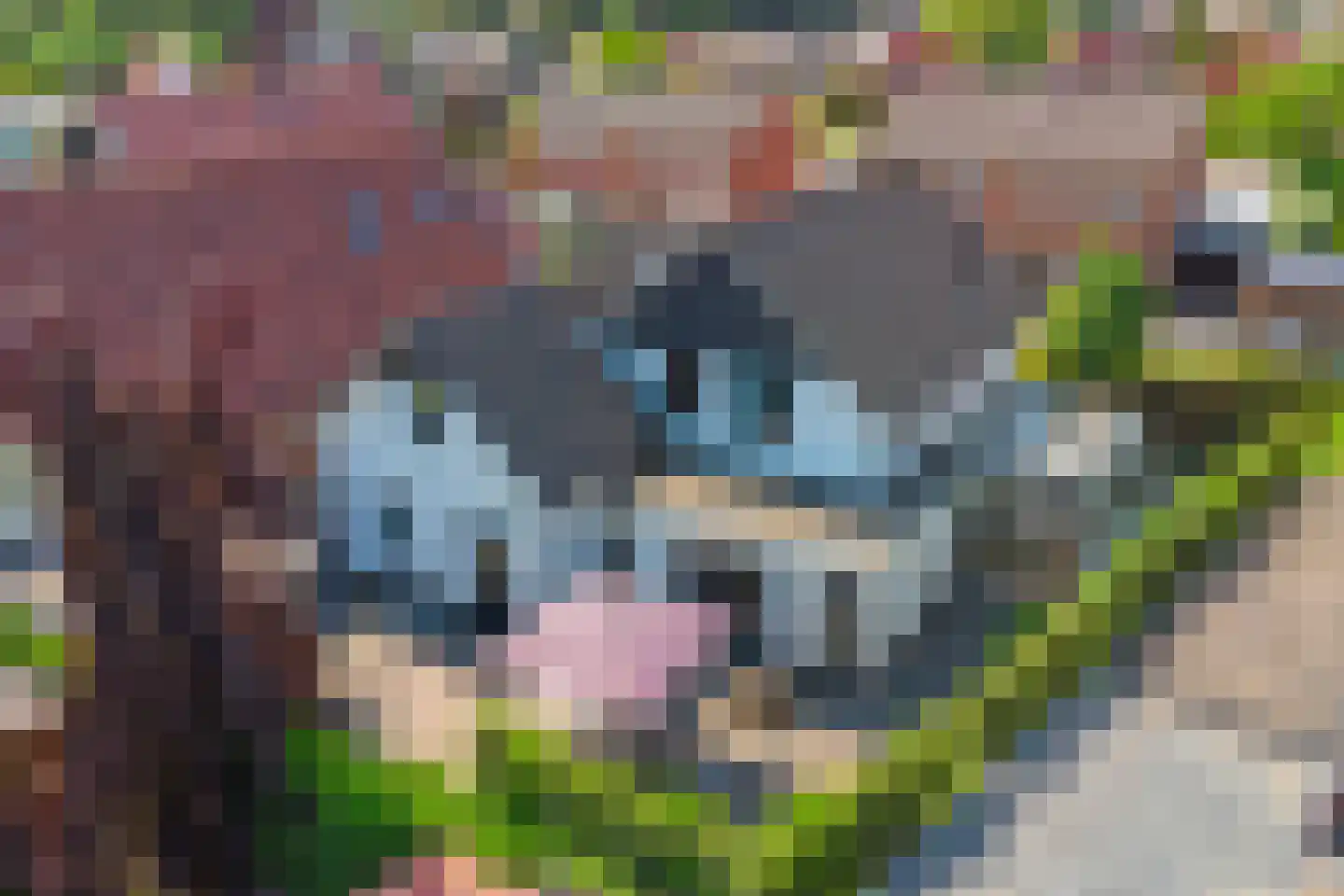 Kievitstraat 3 Haaksbergen thumbnail 43
