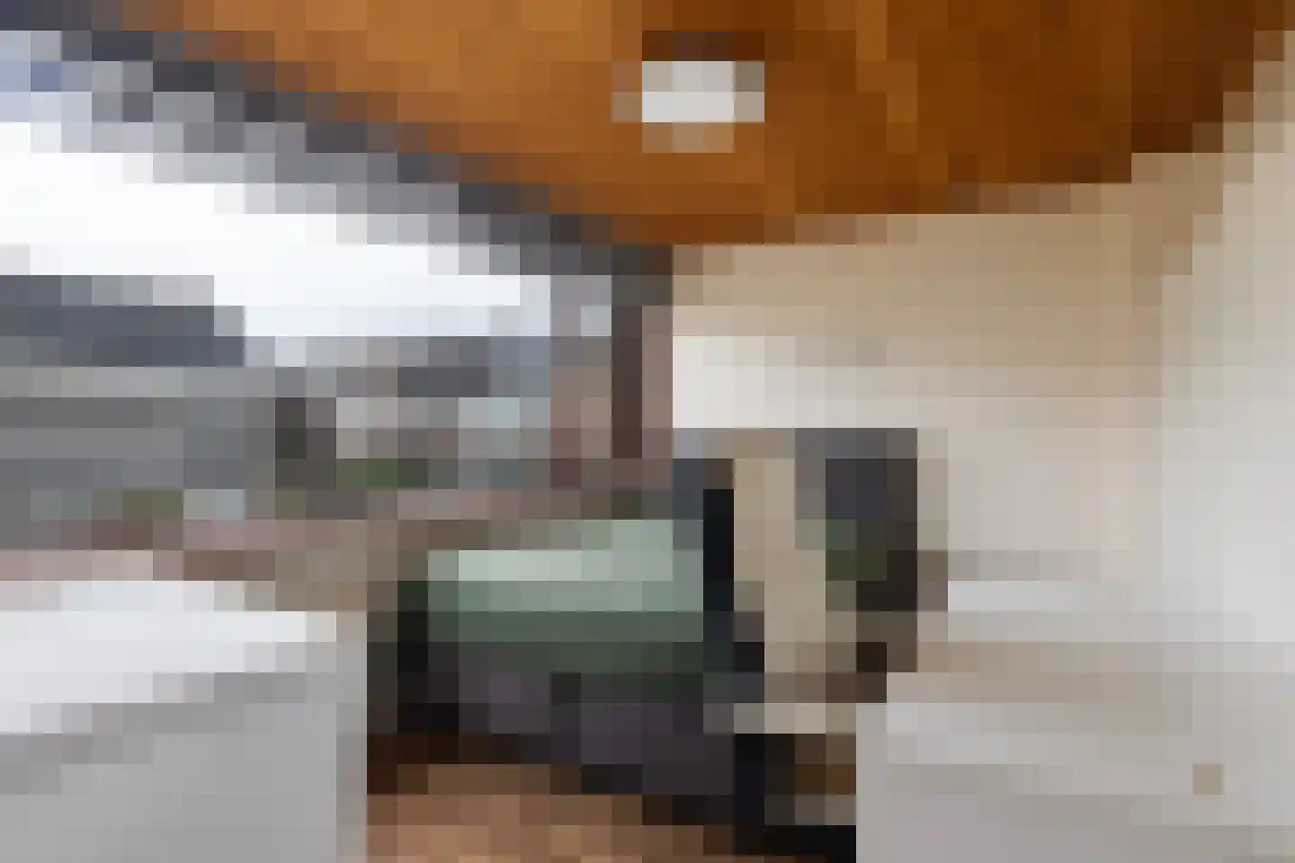 Kievitstraat 3 Maassluis thumbnail 25
