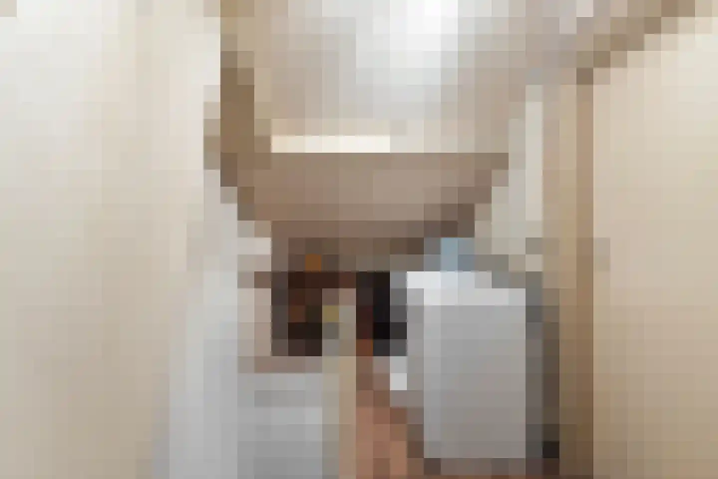 Kievitstraat 3 Maassluis thumbnail 32