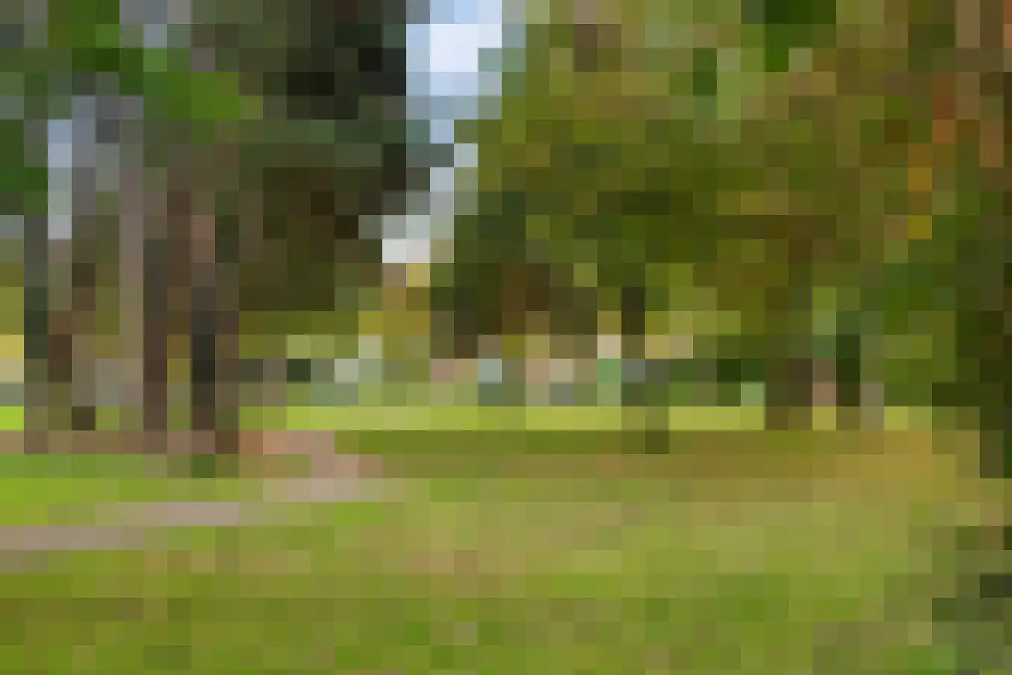 Kievitstraat 3 Maassluis thumbnail 37