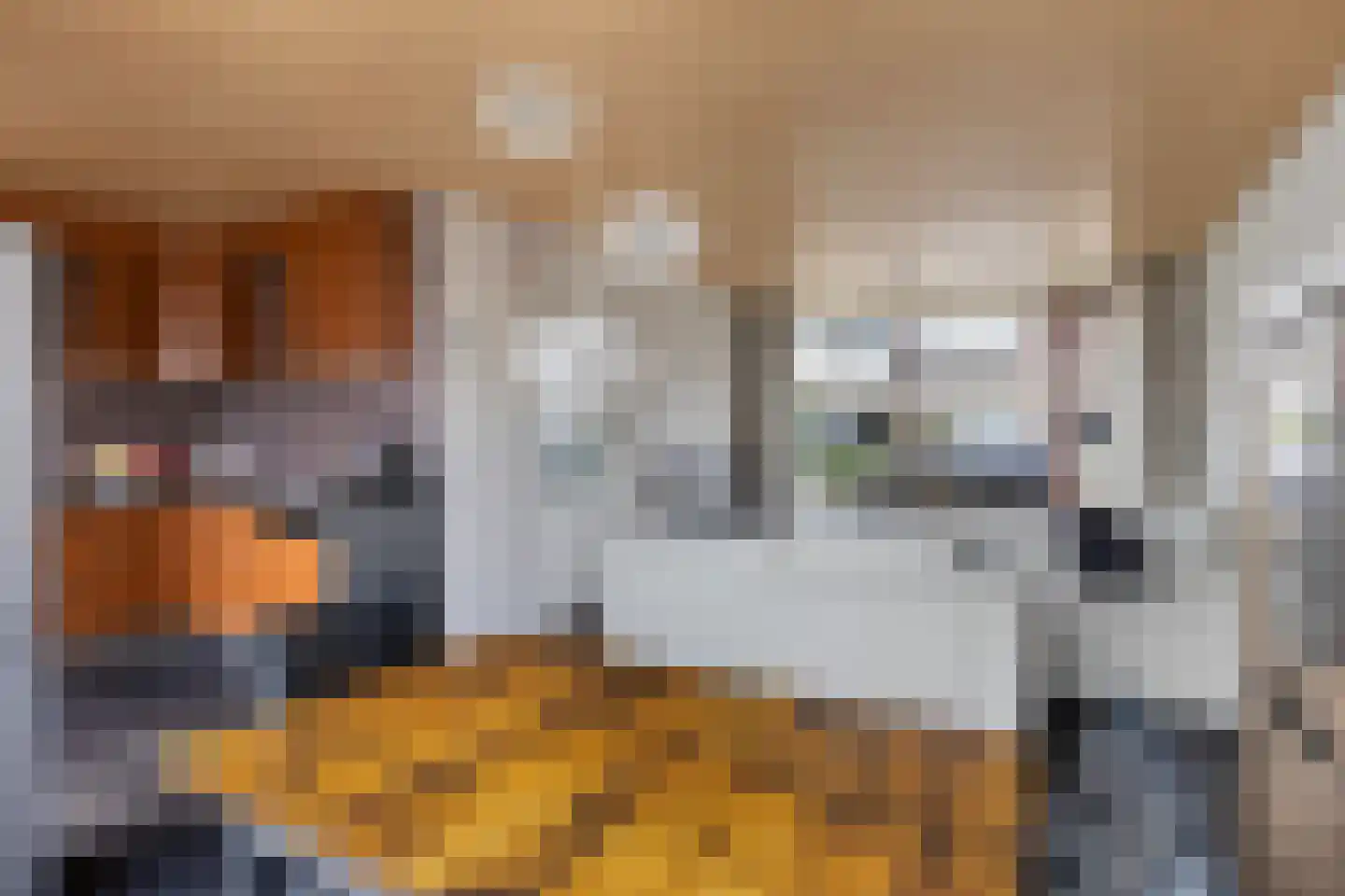 Kievitstraat 3 Maassluis thumbnail 4