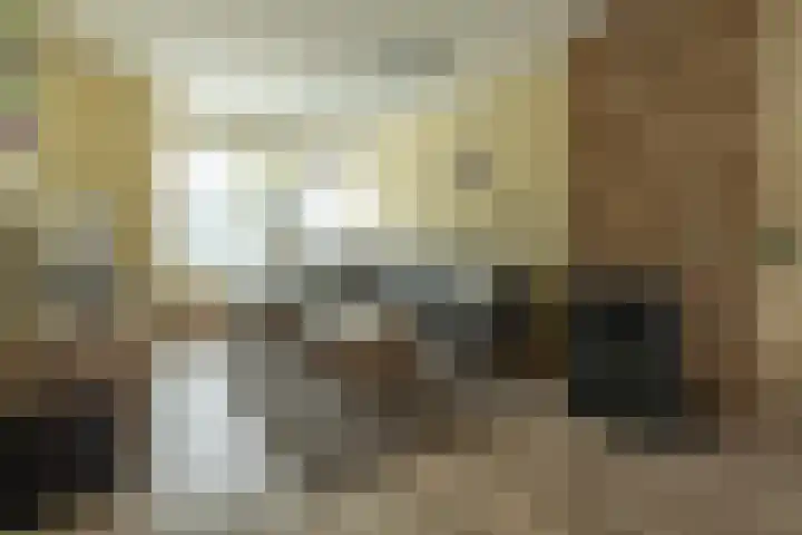 Kievitstraat 3 Zaltbommel thumbnail 11