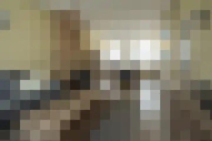 Kievitstraat 3 Zaltbommel thumbnail 14