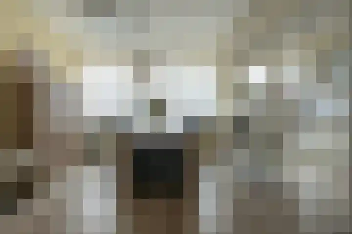 Kievitstraat 3 Zaltbommel thumbnail 15