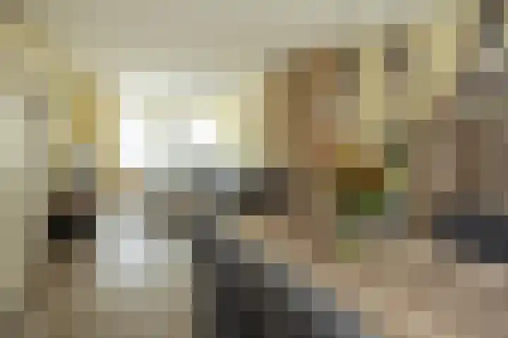 Kievitstraat 3 Zaltbommel thumbnail 16