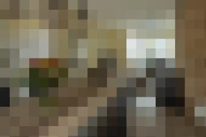 Kievitstraat 3 Zaltbommel thumbnail 18