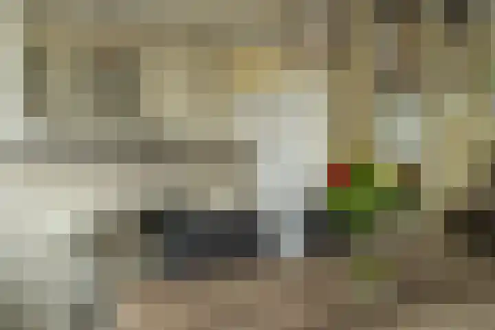 Kievitstraat 3 Zaltbommel thumbnail 20