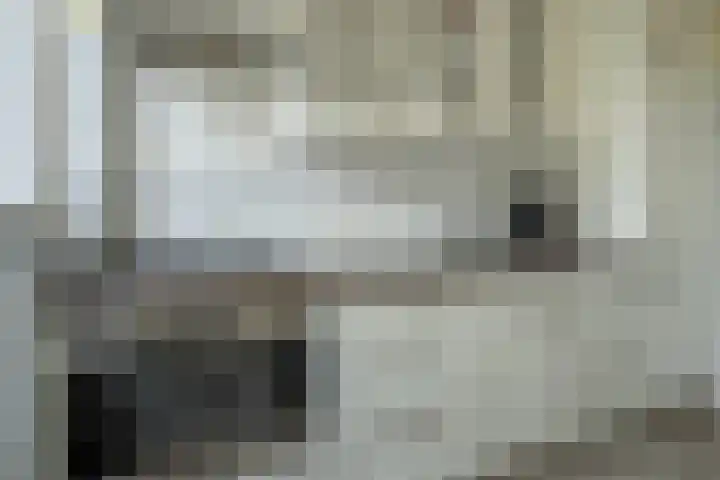Kievitstraat 3 Zaltbommel thumbnail 24
