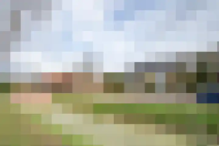 Kievitstraat 3 Zaltbommel thumbnail 38
