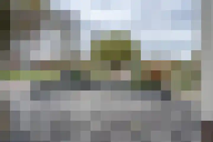 Kievitstraat 3 Zaltbommel thumbnail 8