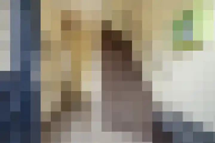 Kievitstraat 3 Zaltbommel thumbnail 9