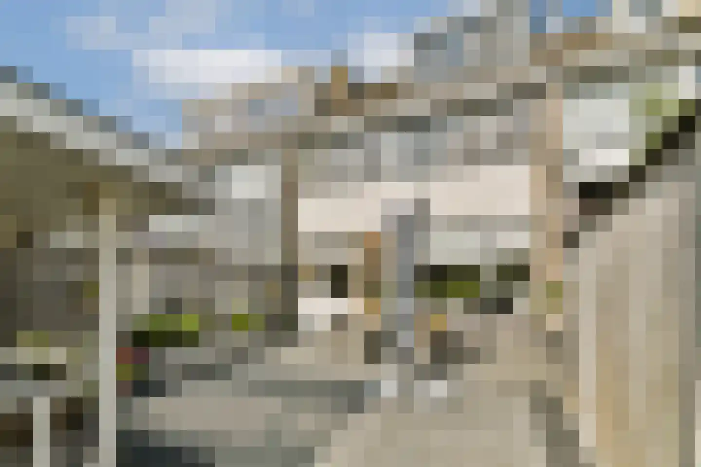 Kievitstraat 32 Lisse thumbnail 14