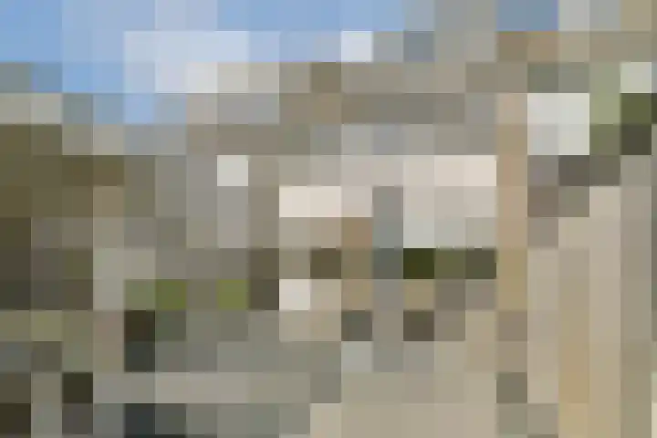 Kievitstraat 32 Lisse thumbnail 14