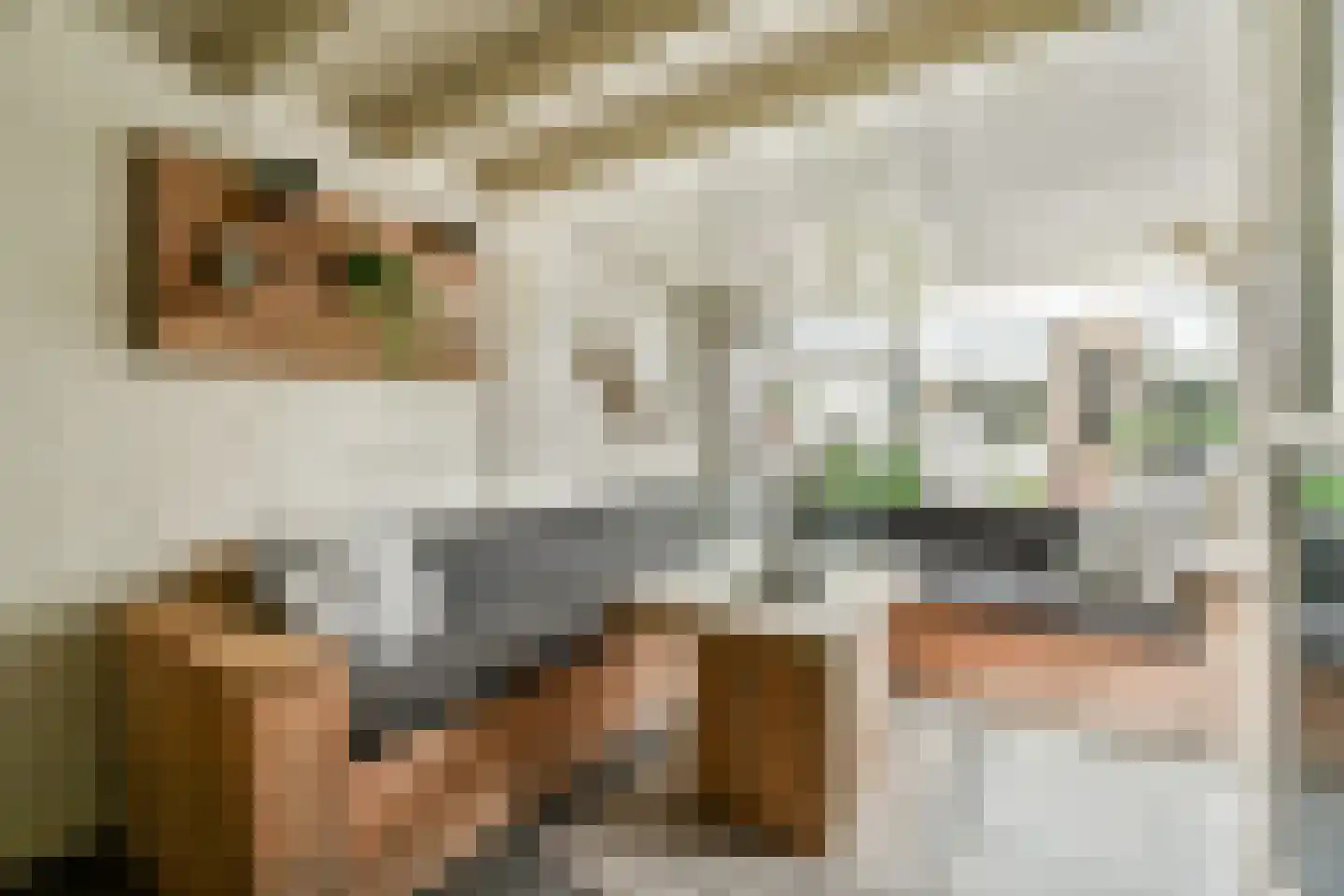 Kievitstraat 32 Lisse thumbnail 17