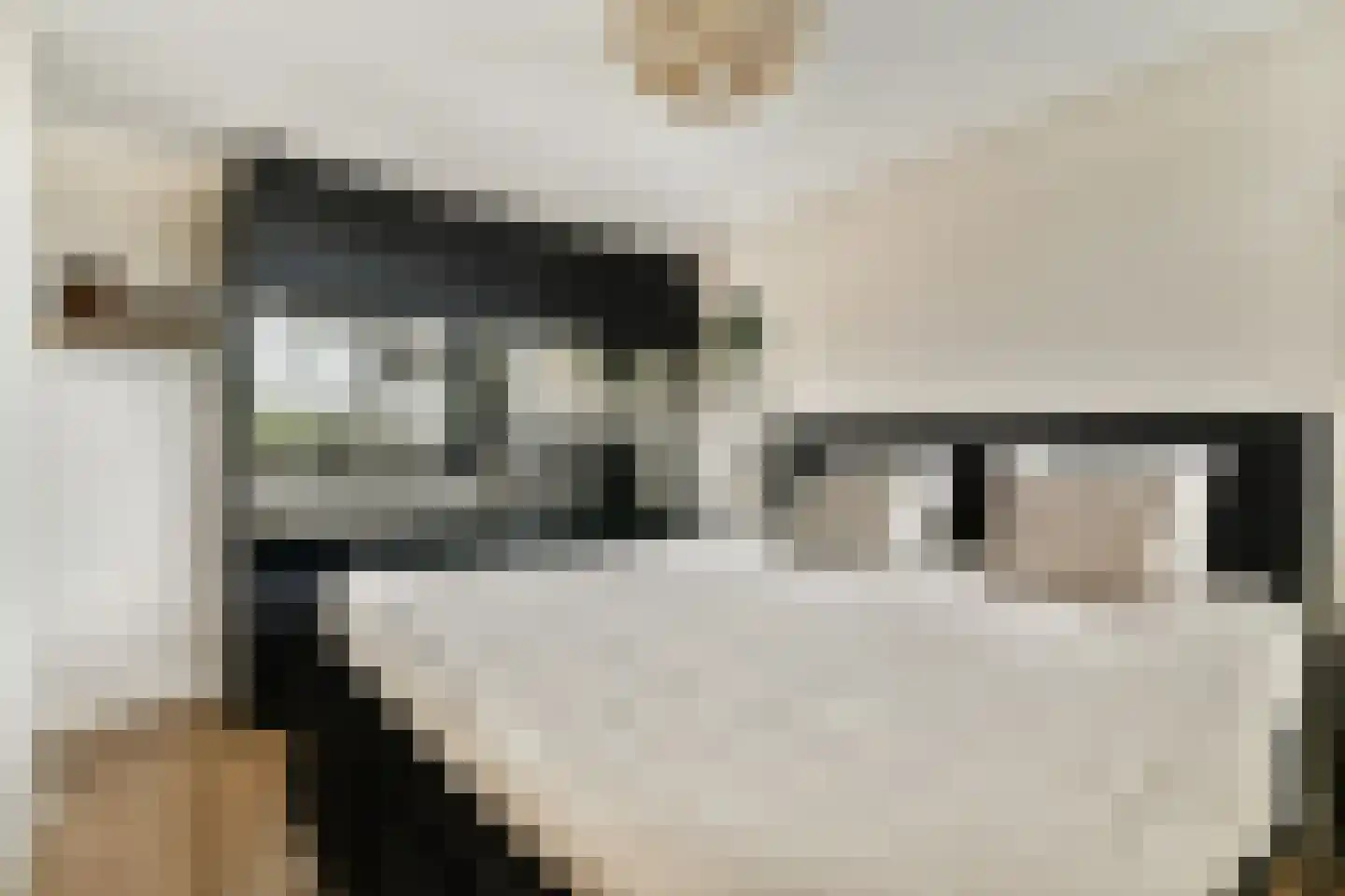 Kievitstraat 32 Lisse thumbnail 20