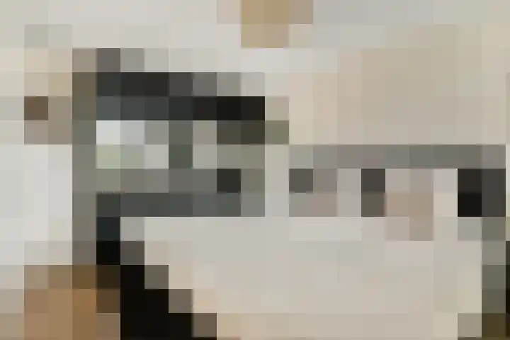 Kievitstraat 32 Lisse thumbnail 20