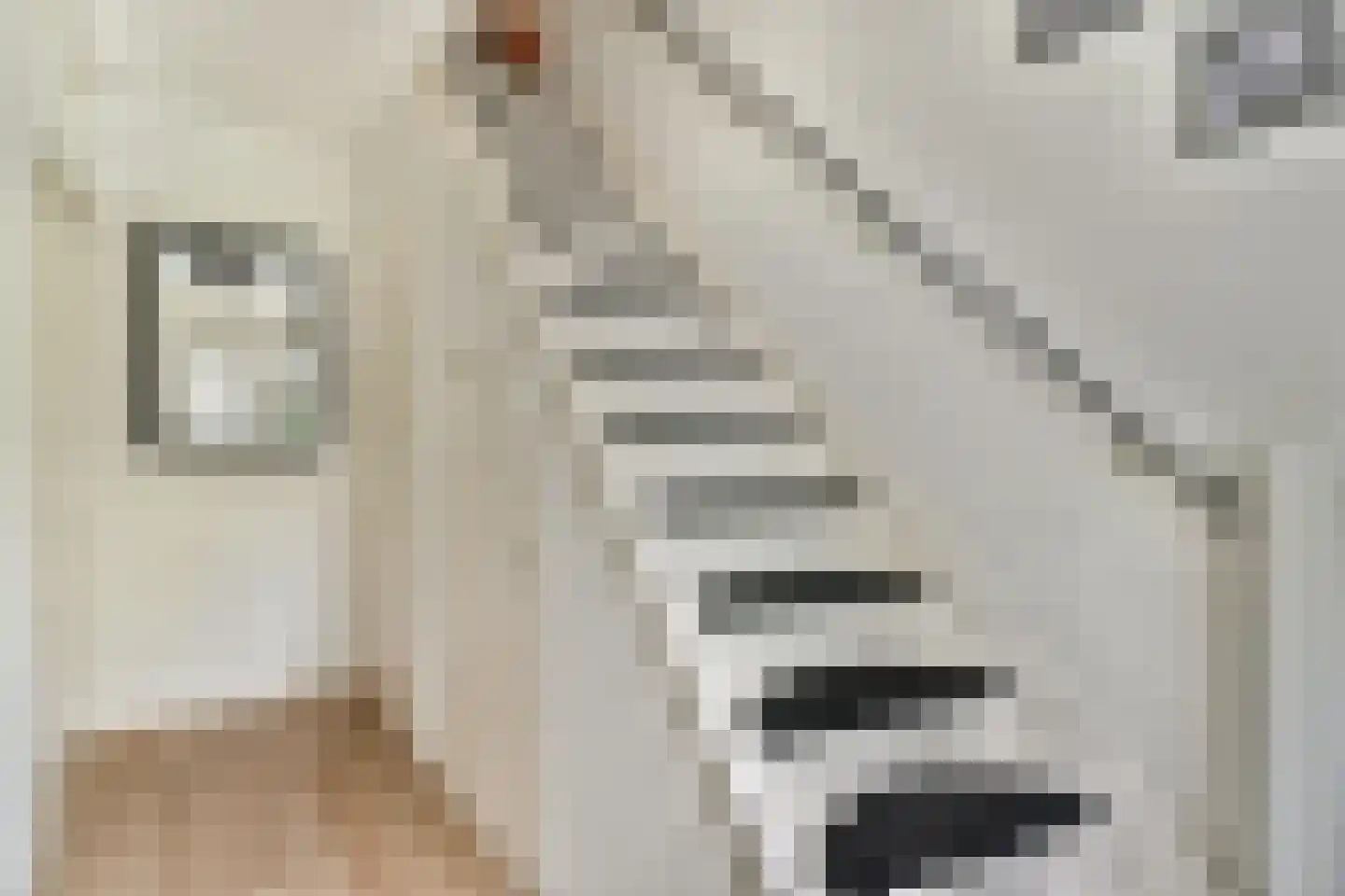 Kievitstraat 32 Lisse foto 3